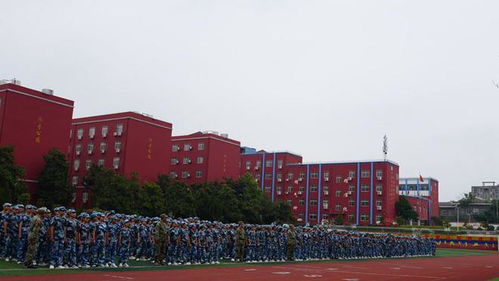 炙曬烈日磨意志 颯爽英姿展風(fēng)采 潢川縣行知高中2024級高一新生軍訓(xùn)匯演