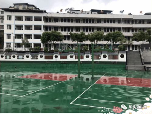 蒼溪縣東溪初級中學(xué)校2020年秋七年級招生啦