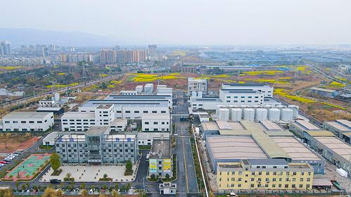 全力拼經(jīng)濟(jì) 沖刺開門紅丨金尚環(huán)保 新增產(chǎn)線擴(kuò)產(chǎn)能 今年經(jīng)營目標(biāo)突破20億