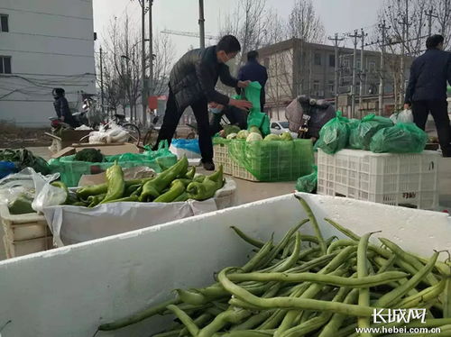 河北內(nèi)丘 微信群里搭平臺，農(nóng)超對接保供銷