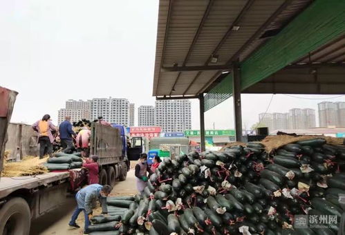 保供穩(wěn)價惠民生，抗擊疫情——濱州供銷在行動